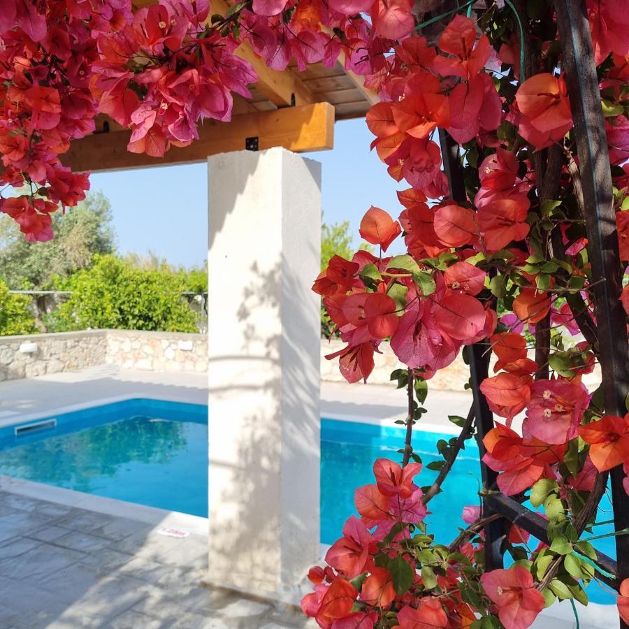 Lianas Garden House Villa Афанту Екстериор снимка